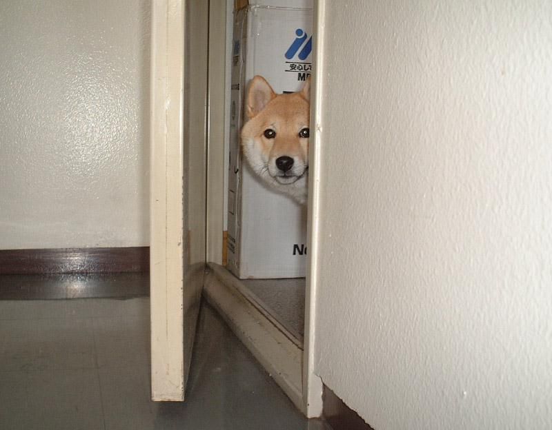 A_master_is_out.jpg