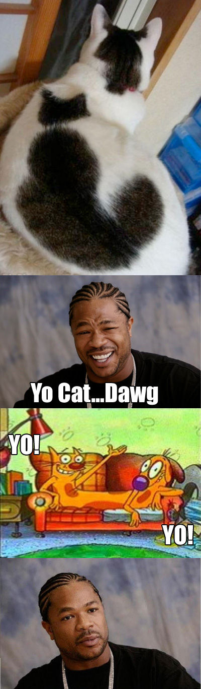 [Image: j1ziklyc.jpg]