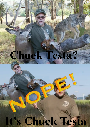 ChuckTestaChuckTesta.png
