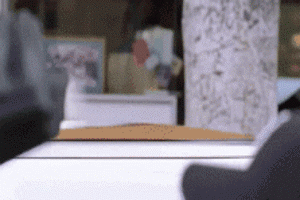 PxCj4.gif?1302641091